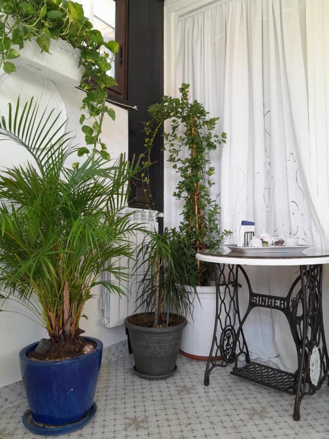 B&B Lido Liberty Lido di Ostia Eksteriør billede