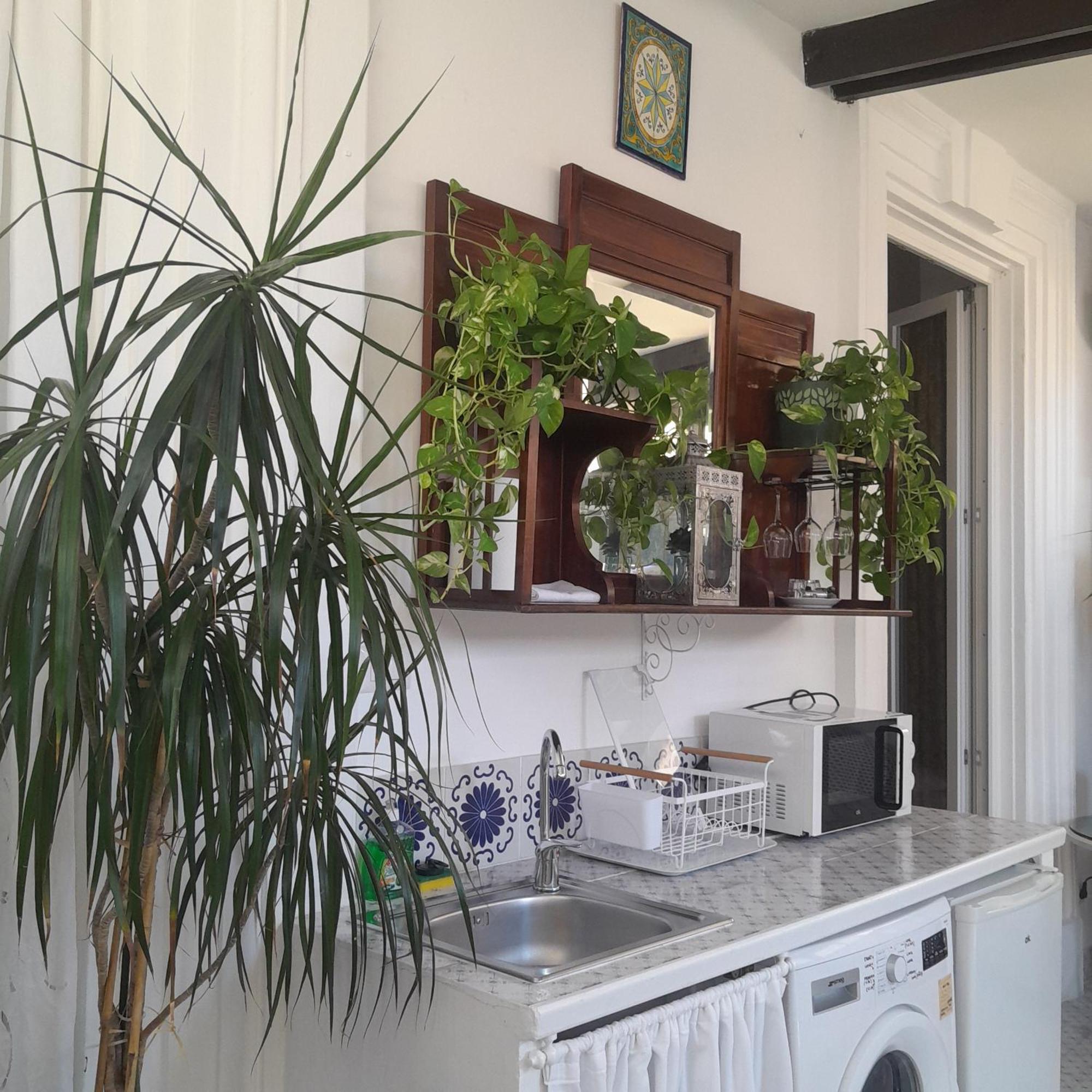 B&B Lido Liberty Lido di Ostia Eksteriør billede